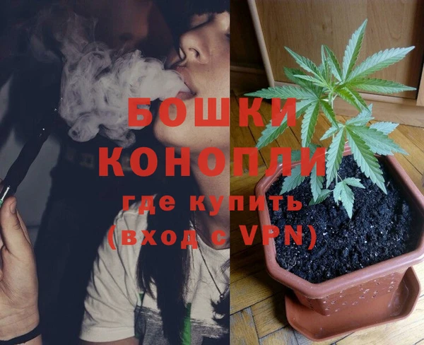 индика Беломорск