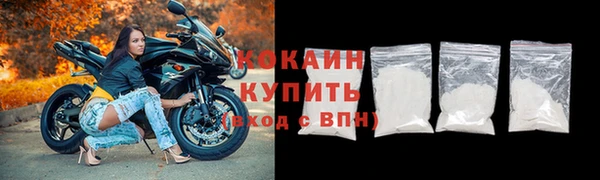 хмурый Арсеньев