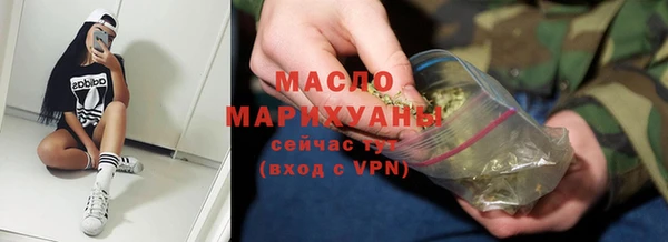 хмурый Арсеньев