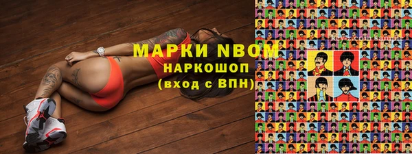 индика Беломорск