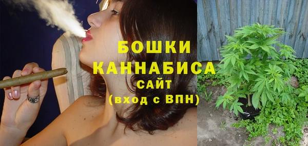 хмурый Арсеньев