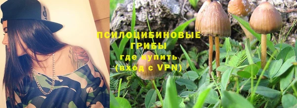 марки nbome Белокуриха