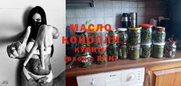индика Беломорск
