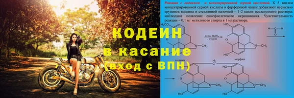 индика Беломорск