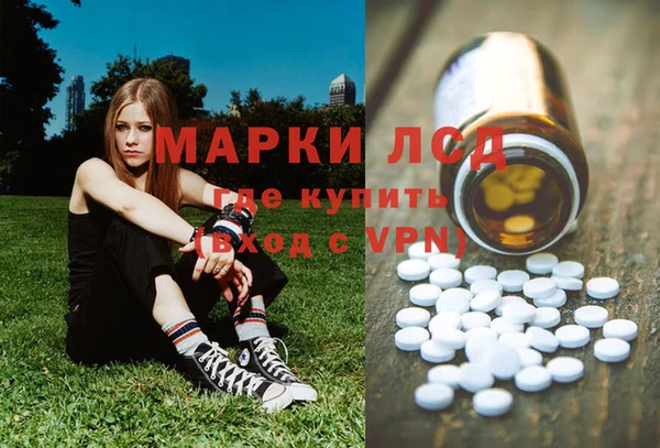 хмурый Арсеньев