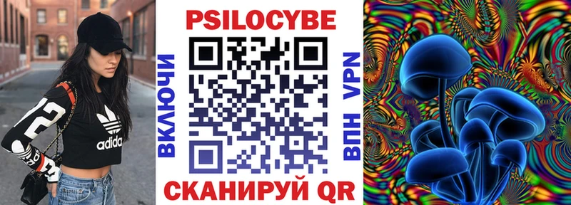 Купить  Рудня  Галлюциногенные грибы Magic Shrooms 